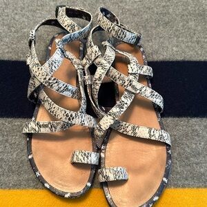 Cabi Gladiator Flat Sandals Sz 9.5 Snake Print Casual Bohemian Ankle Strappy